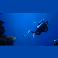 Diving Video Portfolio